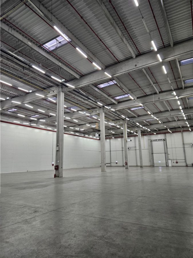 Spatii Industriale - 9500 mp - Logistica - Productie - Depozitare - Distributie - foto 18