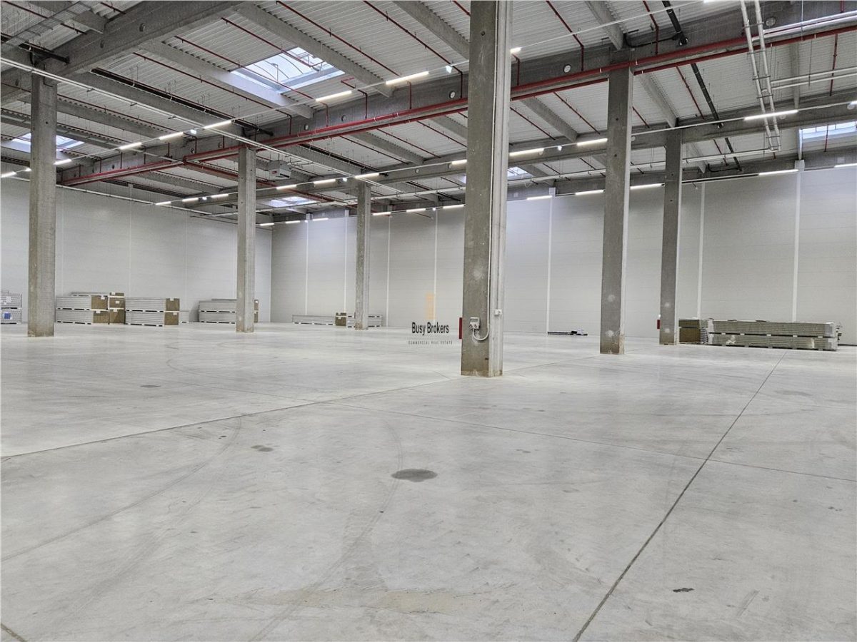 Spatii Industriale - 9500 mp - Logistica - Productie - Depozitare - Distributie - foto 20