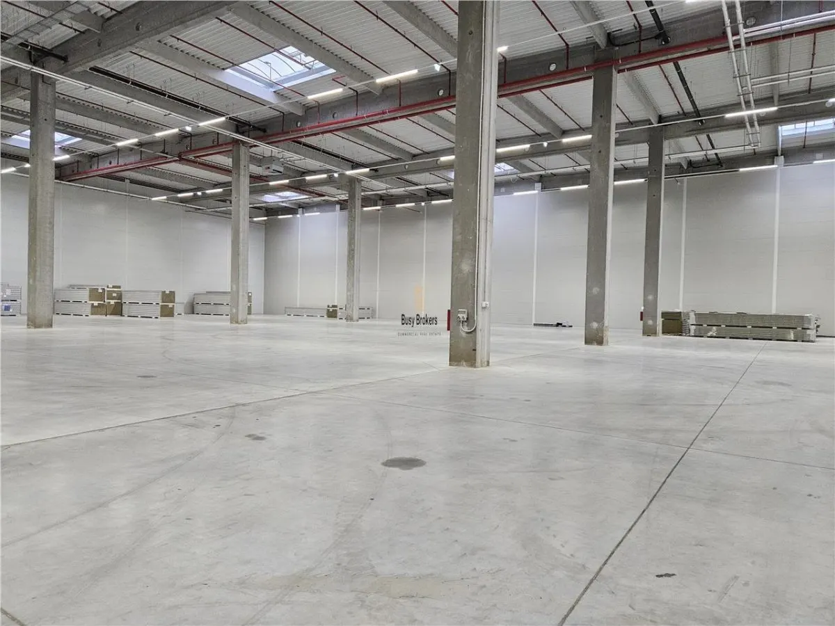 Spatii Industriale - 9500 mp - Logistica - Productie - Depozitare - Distributie - foto 3