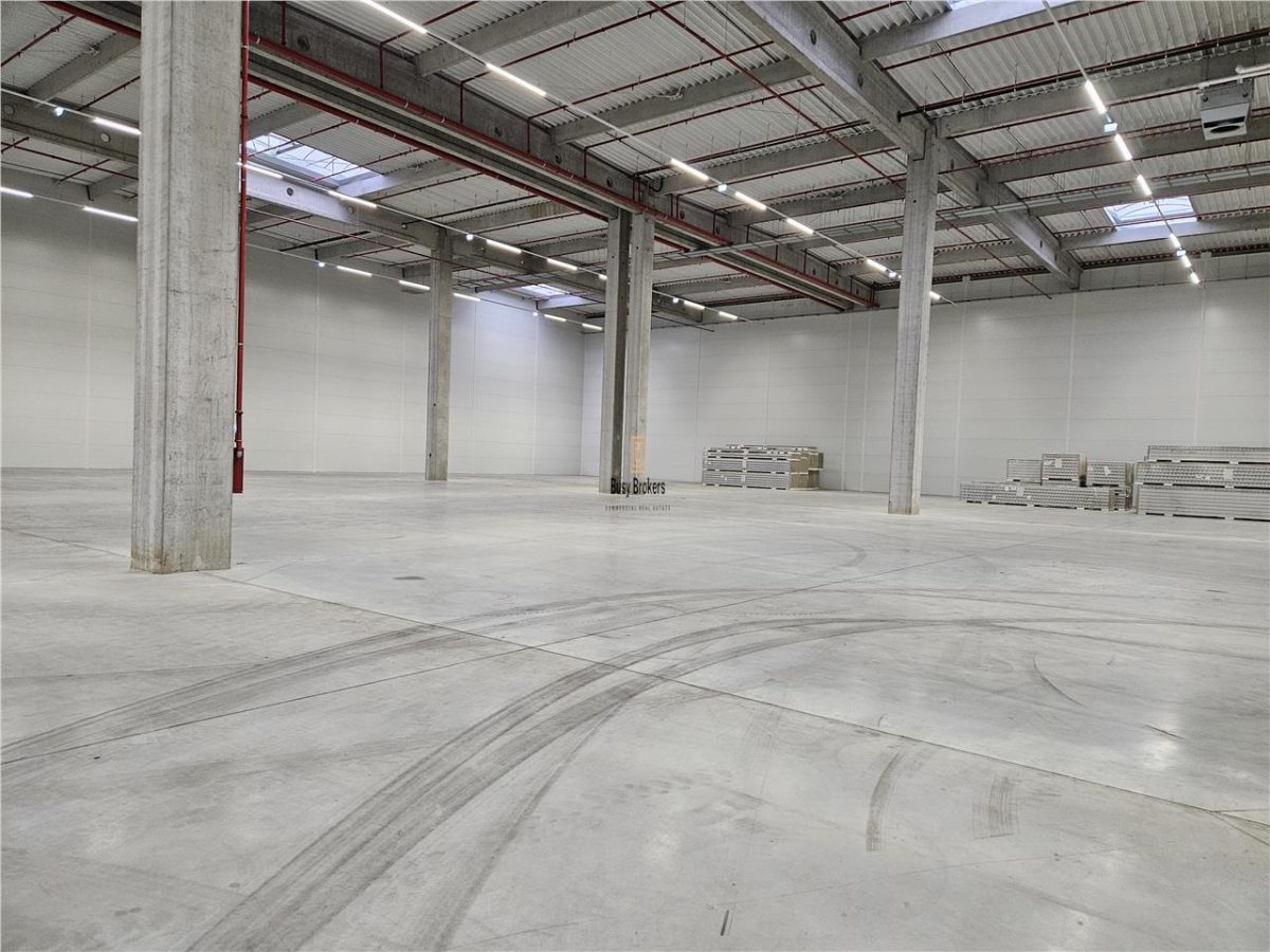 Spatii Industriale - 9500 mp - Logistica - Productie - Depozitare - Distributie - foto 23
