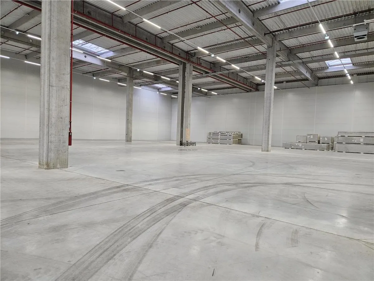 Spatii Industriale - 9500 mp - Logistica - Productie - Depozitare - Distributie - foto 9