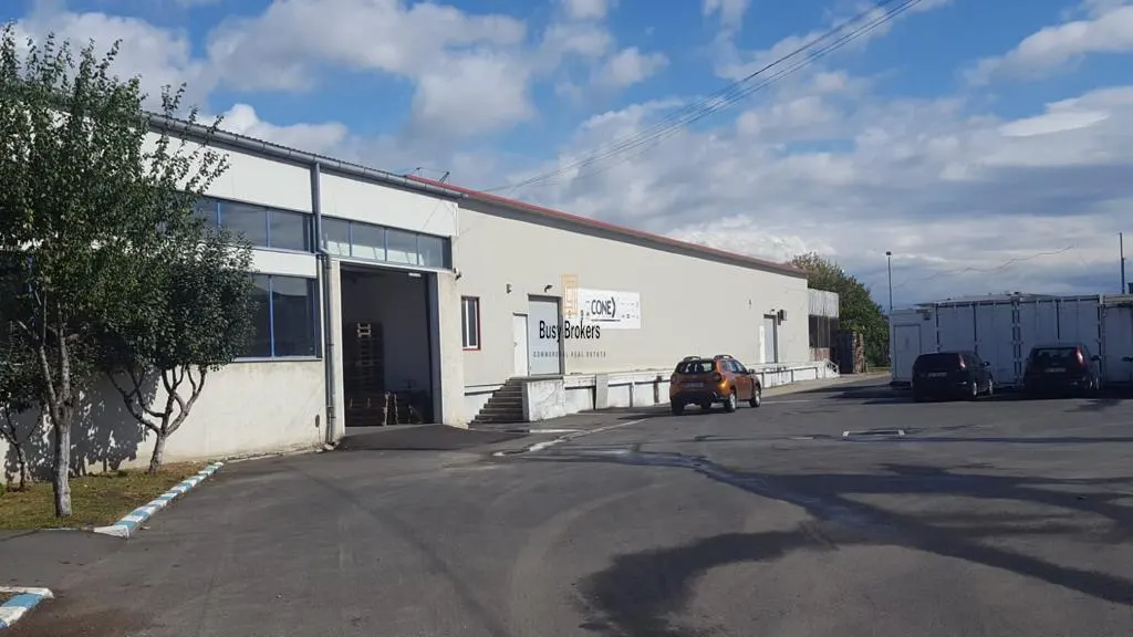 Spatiu Industrial - 850 mp - Depozitare - Distributie - foto 8