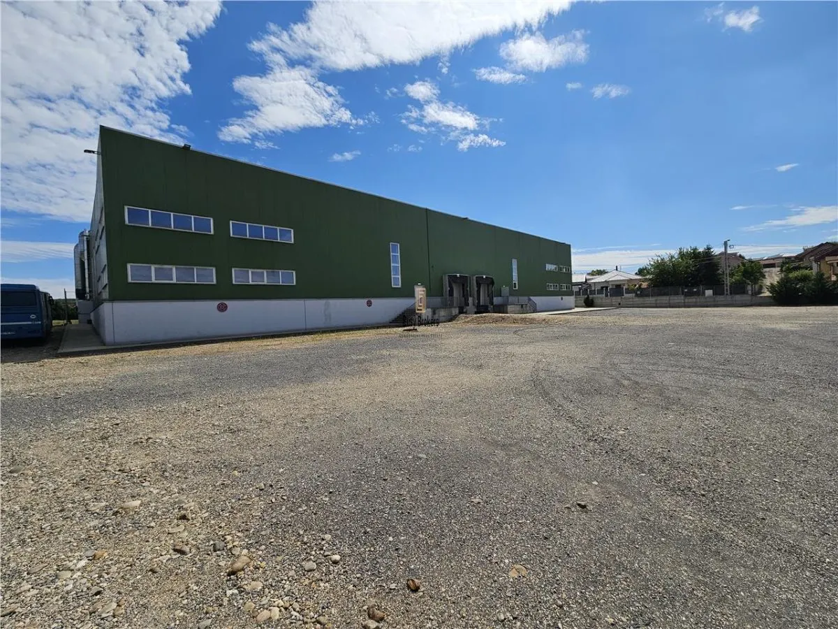 Spatiu Industrial - 6500 mp - Productie - Depozitare - Distributie - foto 23