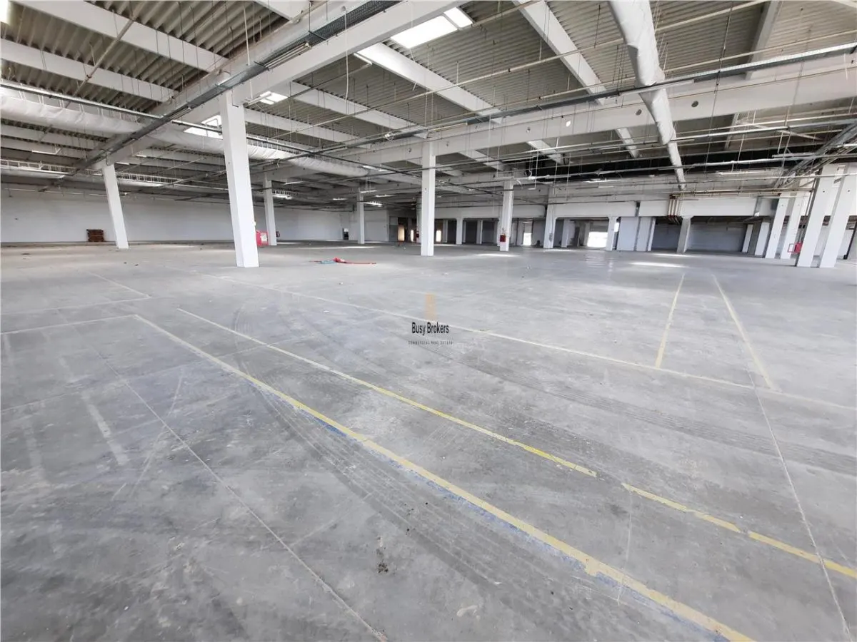 Spatii Industriale - 9000 mp - Productie - Depozitare - Distributie - foto 12