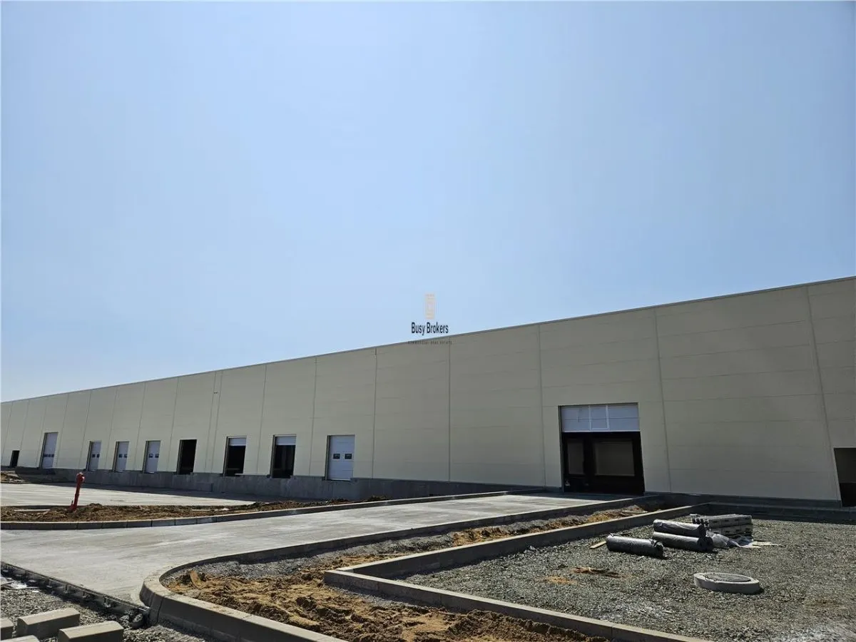 Spatii Industriale - 9000 mp - Productie - Depozitare - Distributie - foto 9