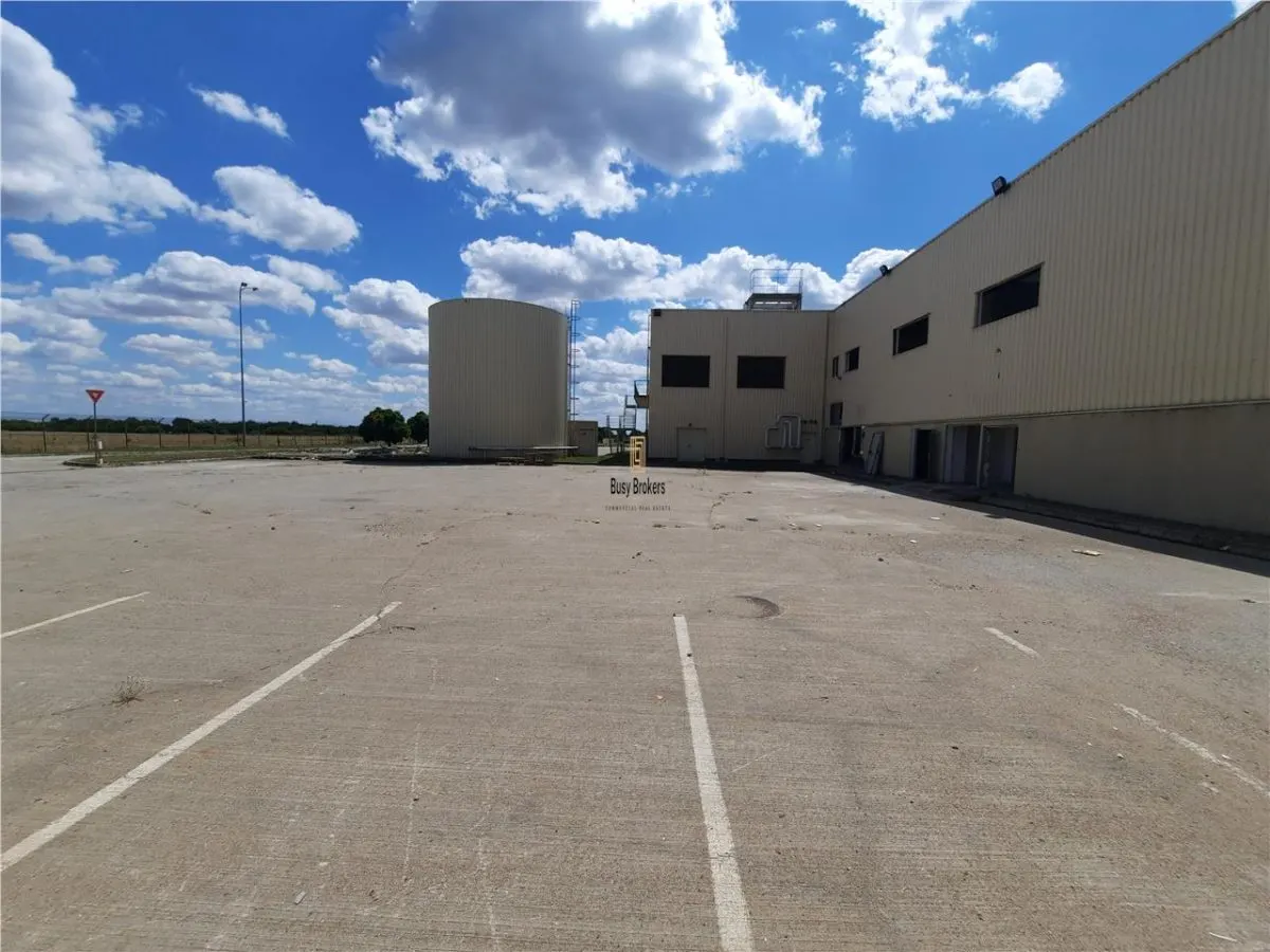 Spatii Industriale - 9000 mp - Productie - Depozitare - Distributie - foto 10