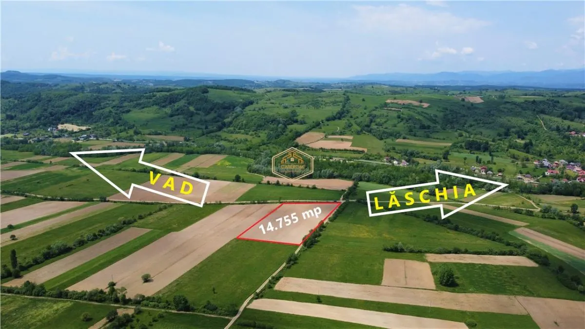 Teren - 14.755 mp in Maramures | Investitie - Recreere - Diverse Plantatii - foto 3