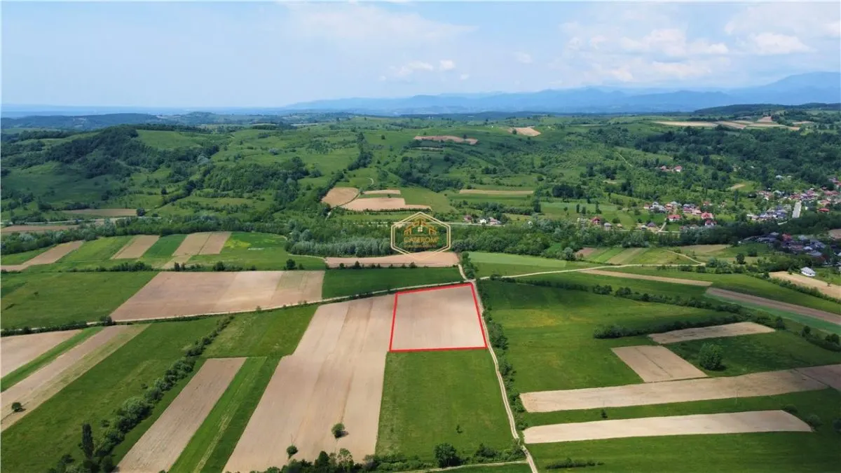 Teren - 14.755 mp in Maramures | Investitie - Recreere - Diverse Plantatii - foto 4