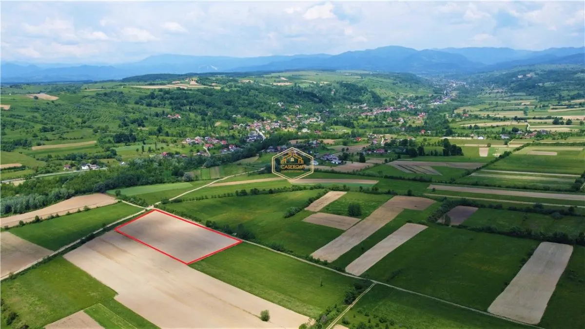 Teren - 14.755 mp in Maramures | Investitie - Recreere - Diverse Plantatii - foto 5