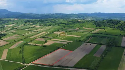 Teren - 14.755 mp in Maramures | Investitie - Recreere - Diverse Plantatii - foto 6