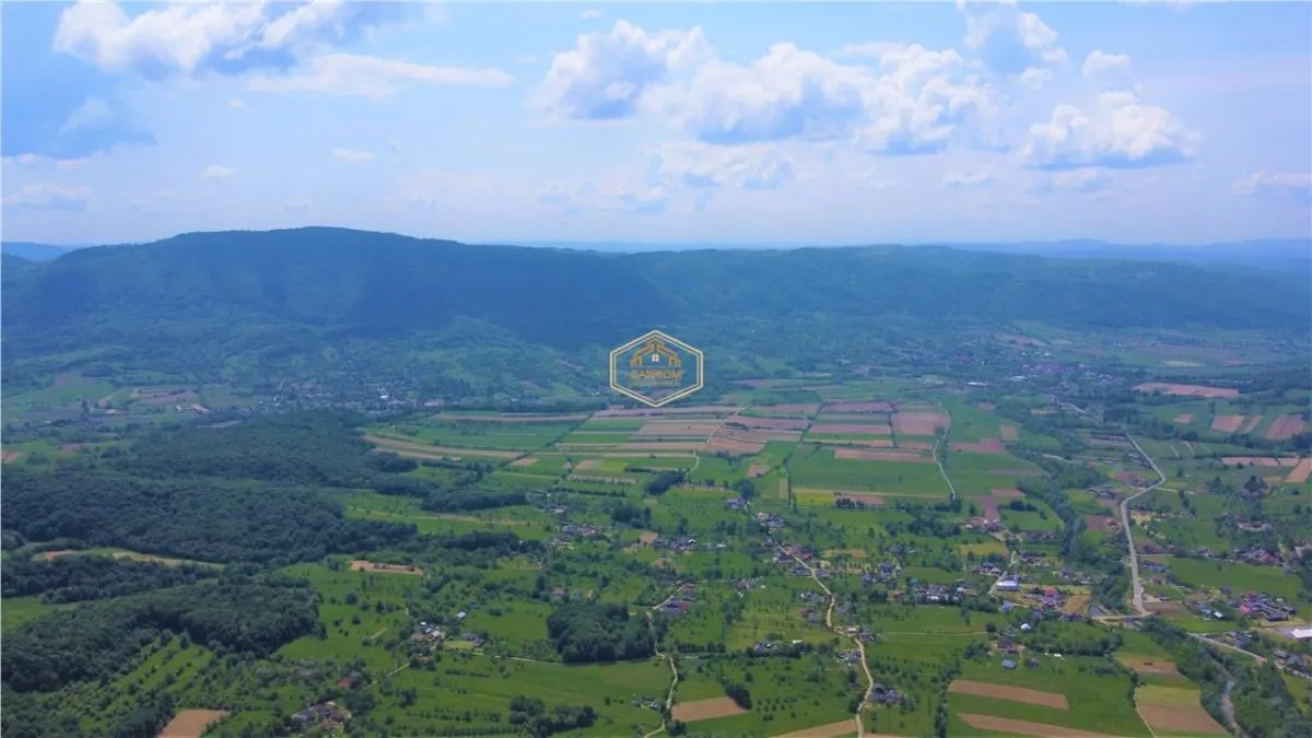 Teren - 14.755 mp in Maramures | Investitie - Recreere - Diverse Plantatii - foto 7