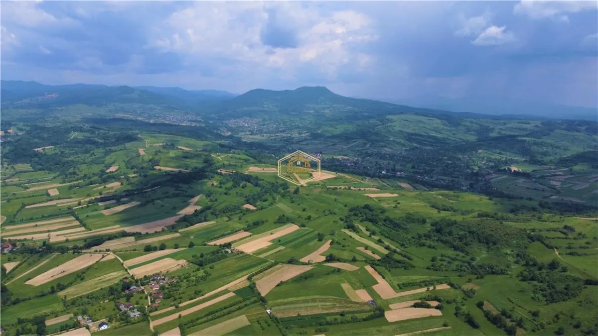 Teren - 14.755 mp in Maramures | Investitie - Recreere - Diverse Plantatii - foto 9
