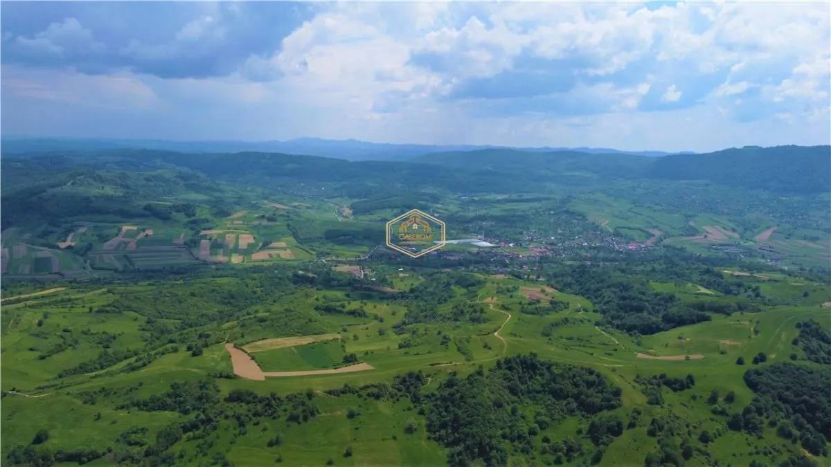 Teren - 14.755 mp in Maramures | Investitie - Recreere - Diverse Plantatii - foto 10