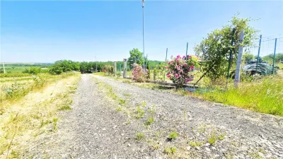 VIDEO | Loc pentru casa, cabana sau cazare turistica in Ardud | Vedere de vis spre Satu Mare si padure - foto 12