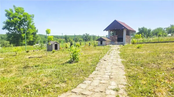 Teren Satu Mare - poza 13