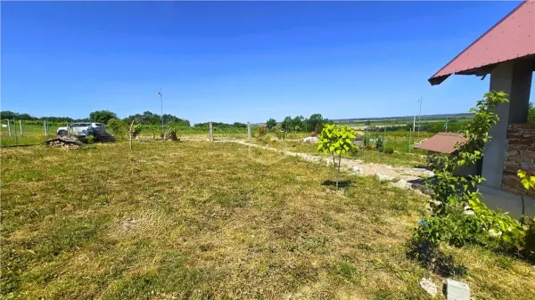 Teren Satu Mare - poza 19