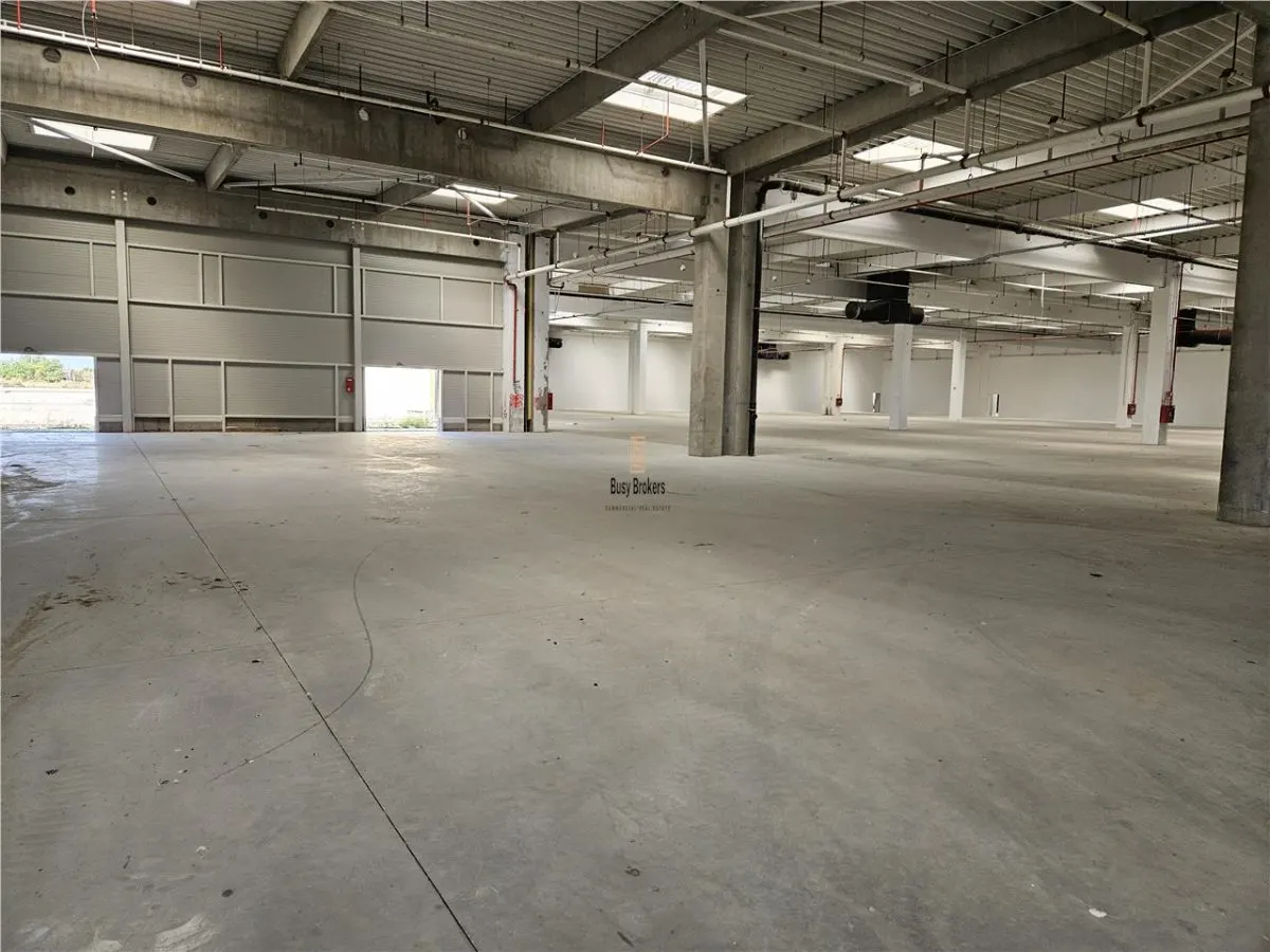 Spatiu Industrial - 6000 mp - Productie - Depozitare - Distributie - foto 1