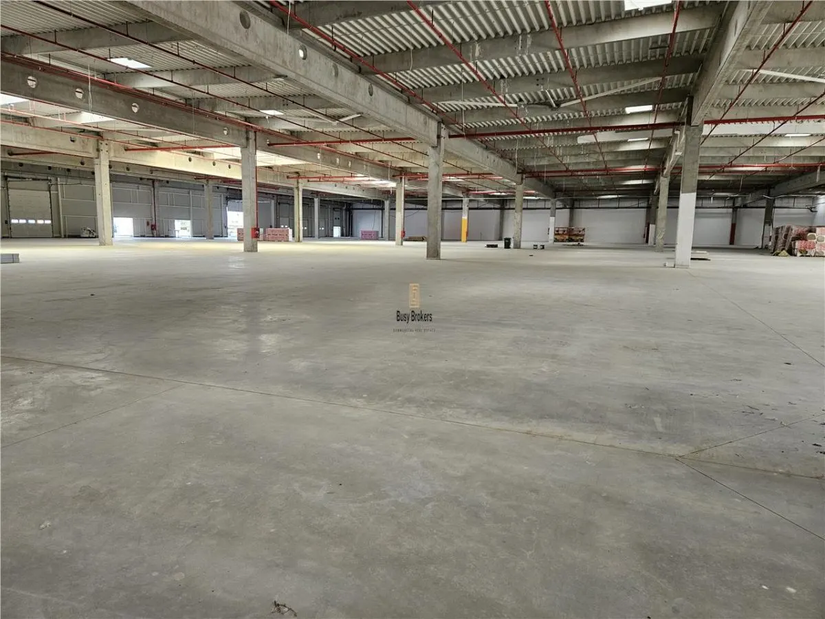 Spatiu Industrial - 6000 mp - Productie - Depozitare - Distributie - foto 14
