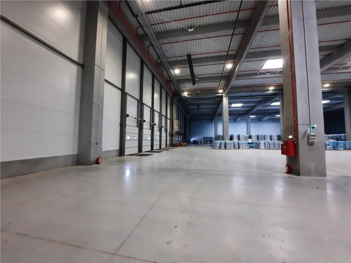 Spatiu Industrial - 5300 mp - Logistica - Productie - Depozitare - Distributie - foto 12