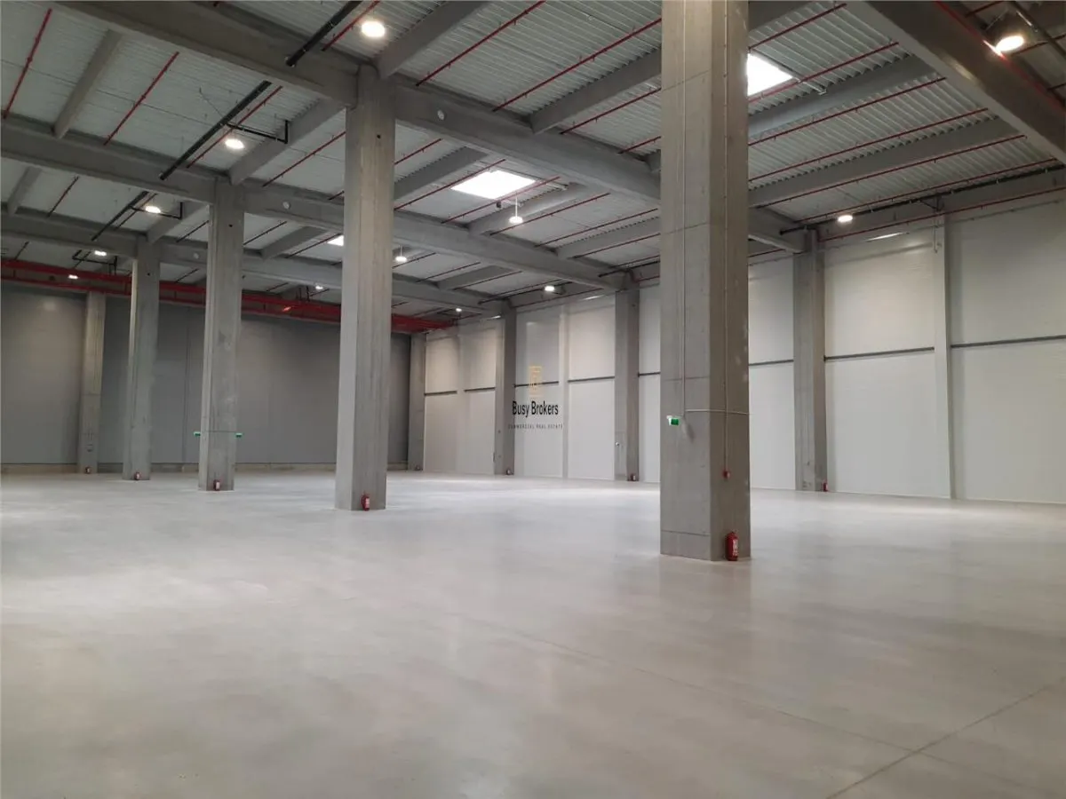 Spatiu Industrial - 5300 mp - Logistica - Productie - Depozitare - Distributie - foto 3