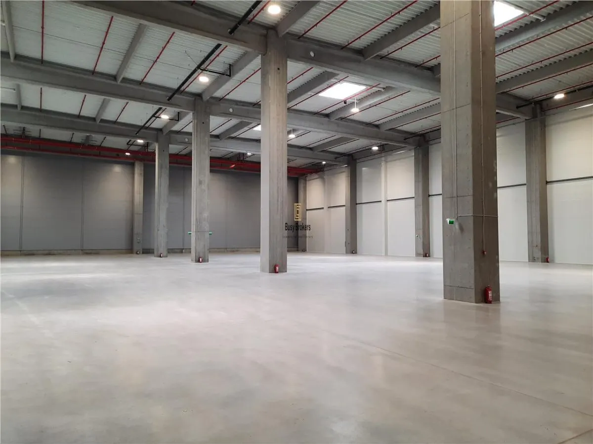 Spatiu Industrial - 5300 mp - Logistica - Productie - Depozitare - Distributie - foto 7