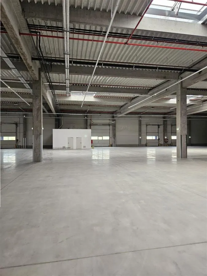 Spatiu Industrial - 3700 mp - Logistica - Productie - Depozitare - Distributie - foto 13