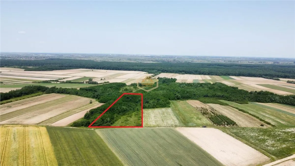 Teren de vanzare - 15.740 mp | Viile Satu Mare | Priveliste superba | Ideal pentru agrement sau investitie turistica - foto 1