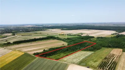 Teren de vanzare - 15.740 mp | Viile Satu Mare | Priveliste superba | Ideal pentru agrement sau investitie turistica - foto 2
