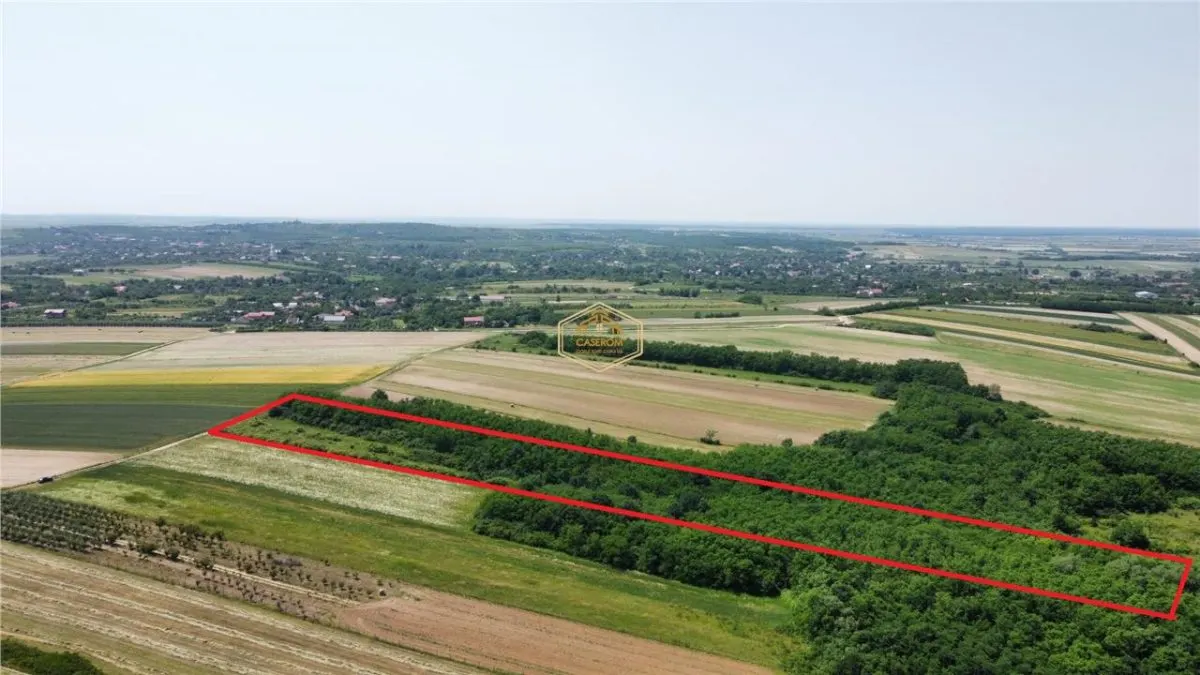 Teren de vanzare - 15.740 mp | Viile Satu Mare | Priveliste superba | Ideal pentru agrement sau investitie turistica - foto 3