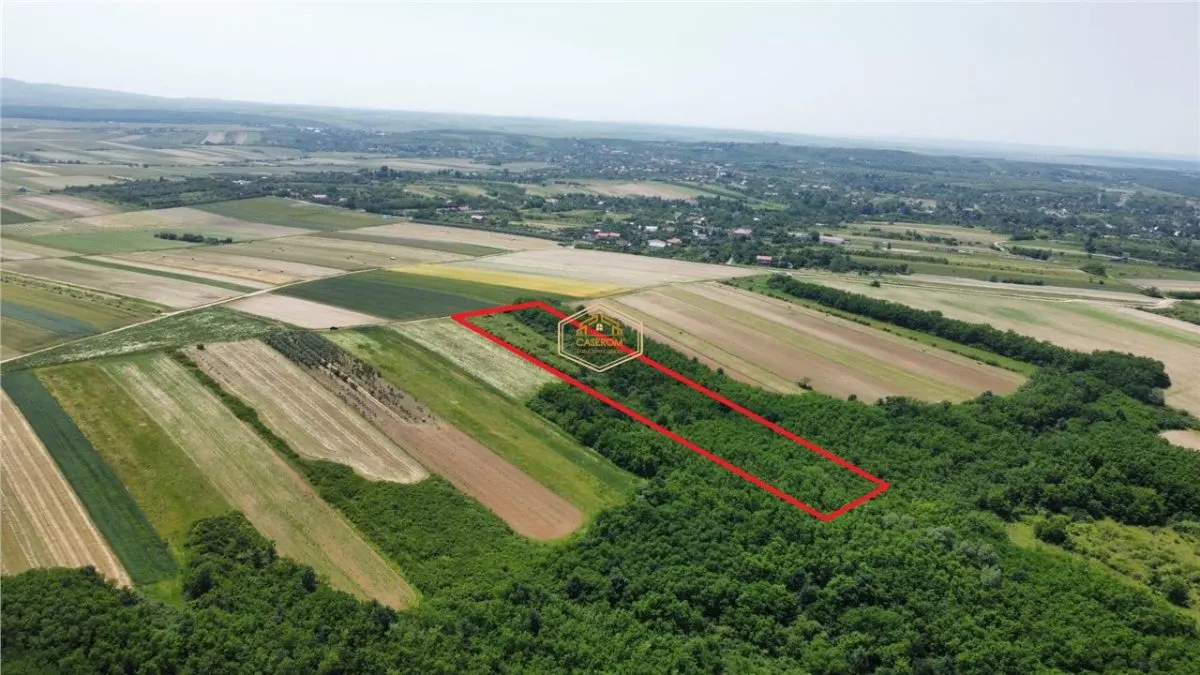 Teren de vanzare - 15.740 mp | Viile Satu Mare | Priveliste superba | Ideal pentru agrement sau investitie turistica - foto 4