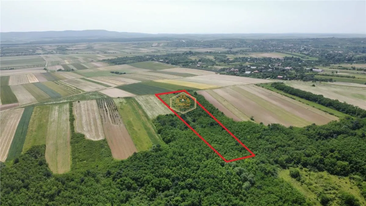 Teren de vanzare - 15.740 mp | Viile Satu Mare | Priveliste superba | Ideal pentru agrement sau investitie turistica - foto 6