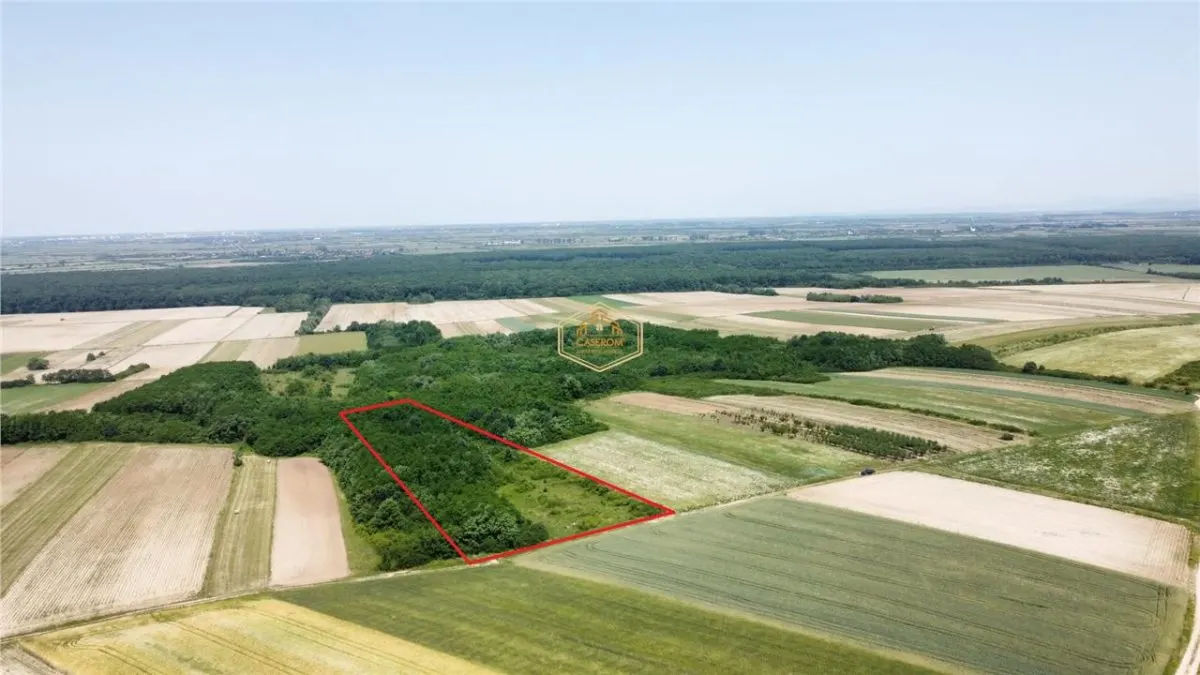 Teren de vanzare - 15.740 mp | Viile Satu Mare | Priveliste superba | Ideal pentru agrement sau investitie turistica - foto 7