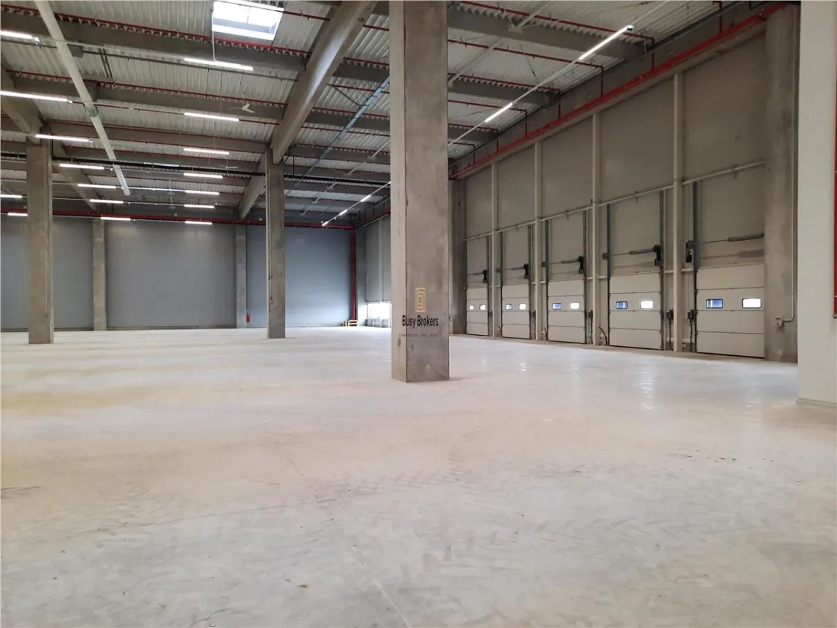 Spatiu Industrial - 5200 mp - Logistica - Productie - Depozitare - Distributie - foto 1