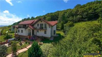 FILM! Vila rafinata, intr- un mediu natural de elita, Pestisu Mic, Valea Nandrului - foto 9