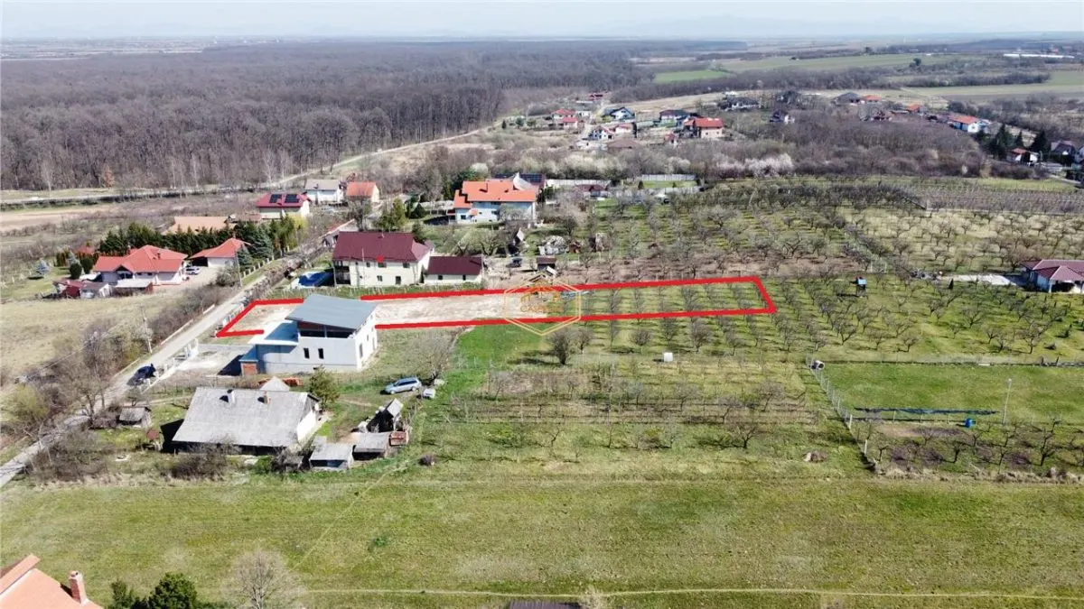 Teren intravilan - 2.000 mp | Strada Florilor - Viile Satu Mare | Investitie - foto 4