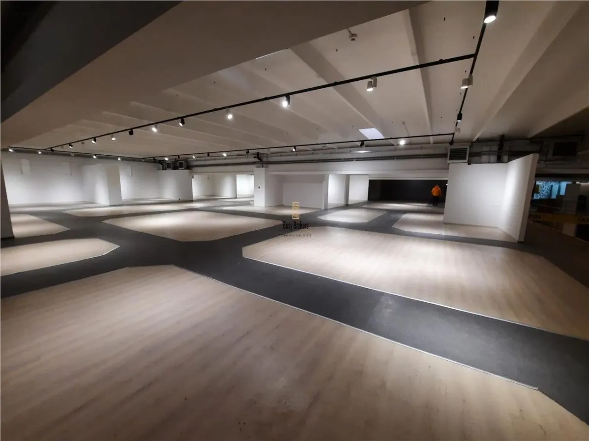 Spatii Comerciale - 500 mp - Showroom - Comert - foto 2