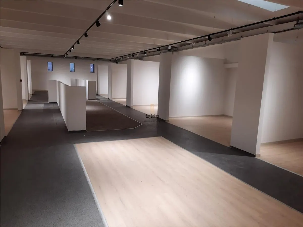 Spatii Comerciale - 500 mp - Showroom - Comert - foto 17