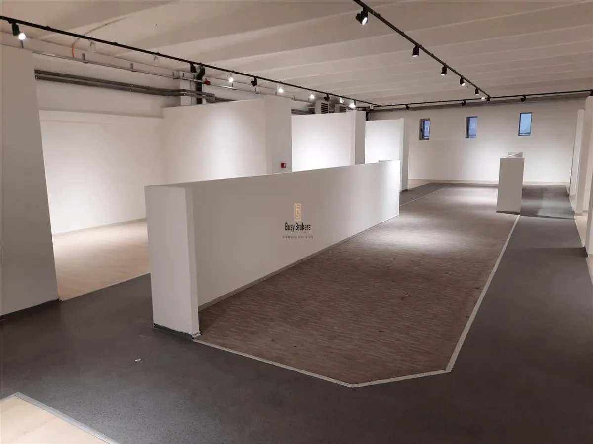 Spatii Comerciale - 500 mp - Showroom - Comert - foto 18