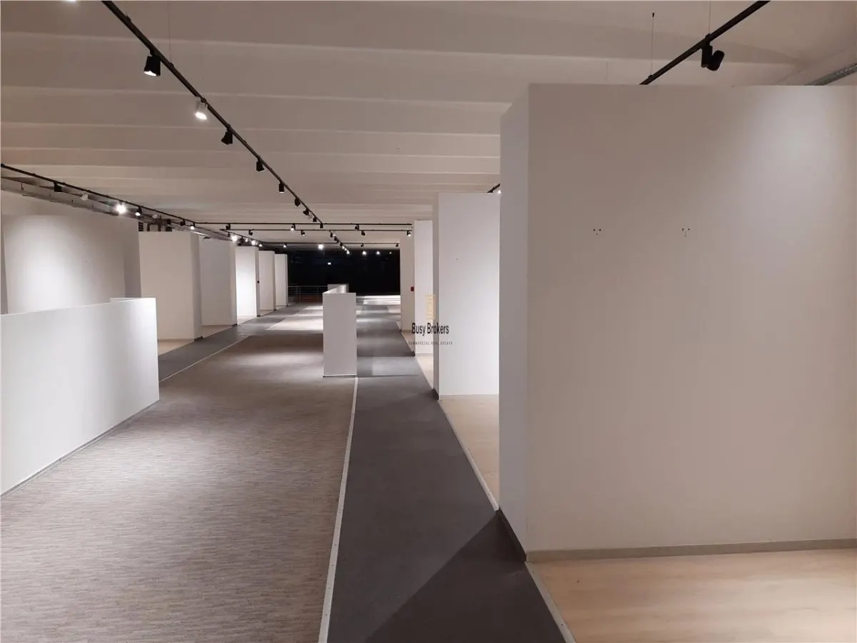 Spatii Comerciale - 500 mp - Showroom - Comert - foto 19