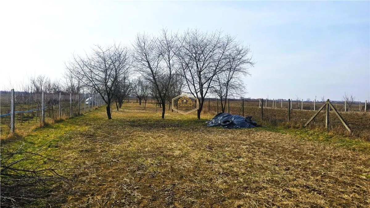 VIDEO | Teren generos, cu livada si casa de vacanta in Satu Mare - foto 8