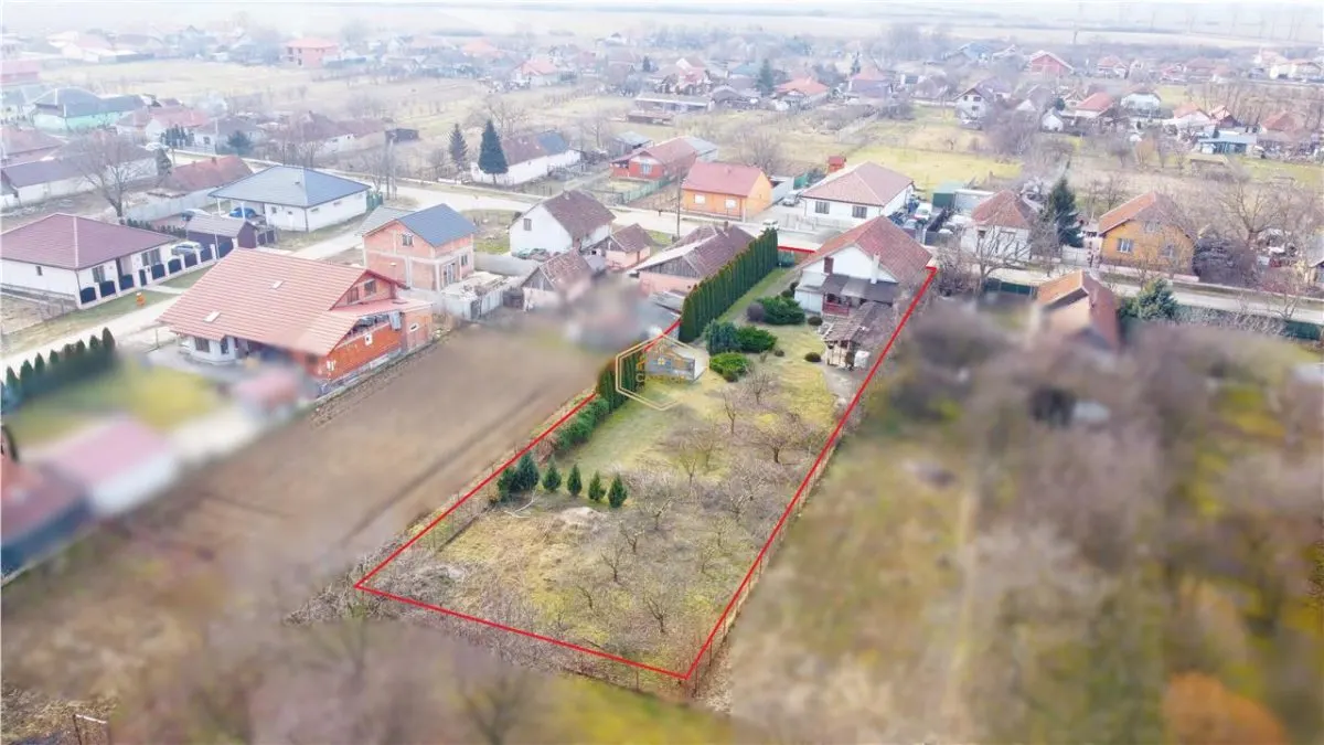 VIDEO | Aproape de oras: Casa cu 3 dormitoare, curte frumoasa si terasa cu gratar - foto 2