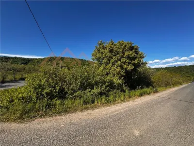 Teren intravilan, zona parc Hosteze, Tautii Magheraus - Tautii-Magheraus