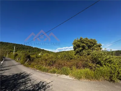 Teren intravilan, zona parc Hosteze, Tautii Magheraus - foto 4