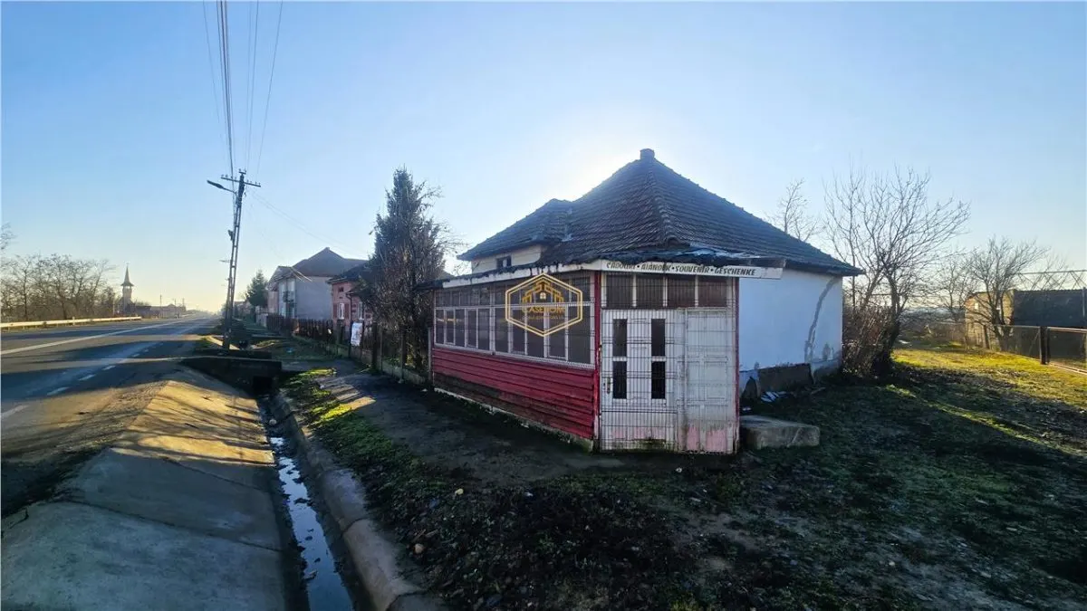 Casa cu 3 camere si 8.914 mp de teren | Acces din DN 19A - Petea - foto 9