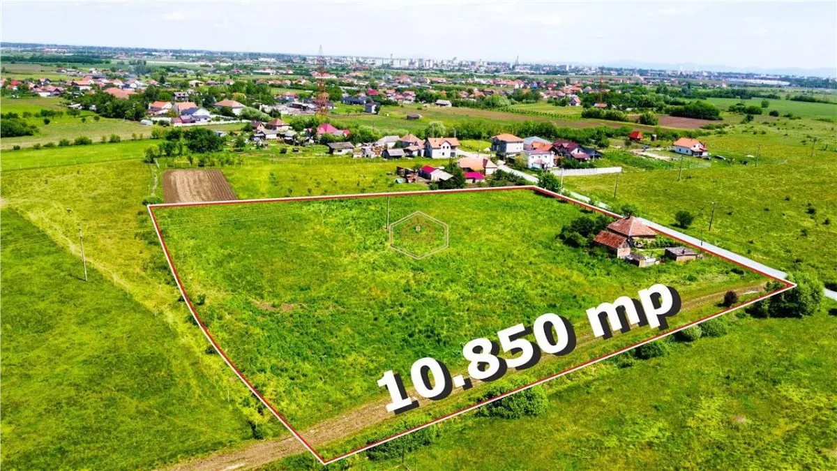 Teren generos si versatil - 10.850 mp | Balta Blonda | Diverse proiecte - foto 1