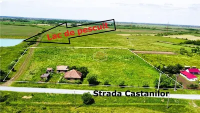 Teren generos si versatil - 10.850 mp | Balta Blonda | Diverse proiecte - foto 3