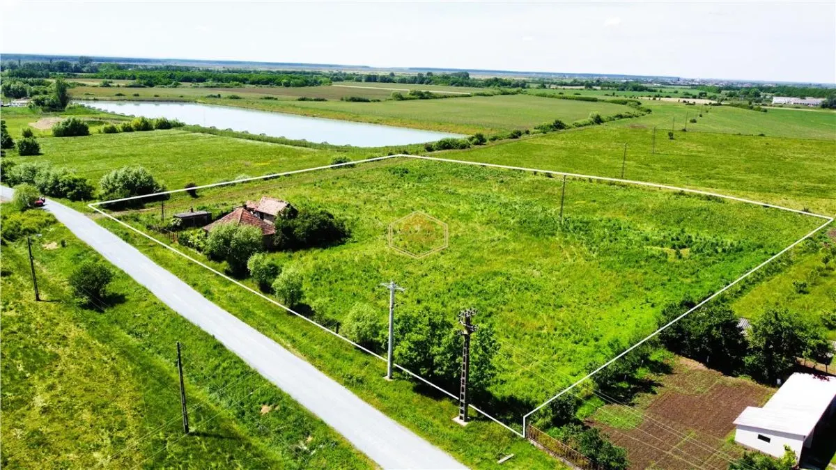 Teren generos si versatil - 10.850 mp | Balta Blonda | Diverse proiecte - foto 5