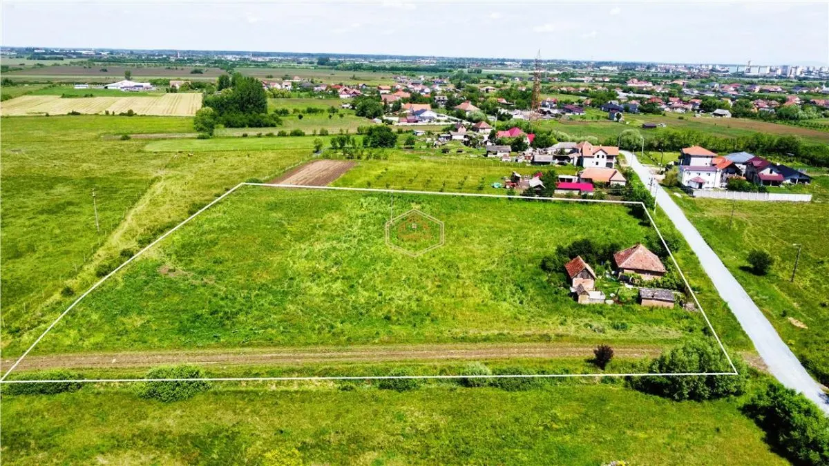 Teren generos si versatil - 10.850 mp | Balta Blonda | Diverse proiecte - foto 6