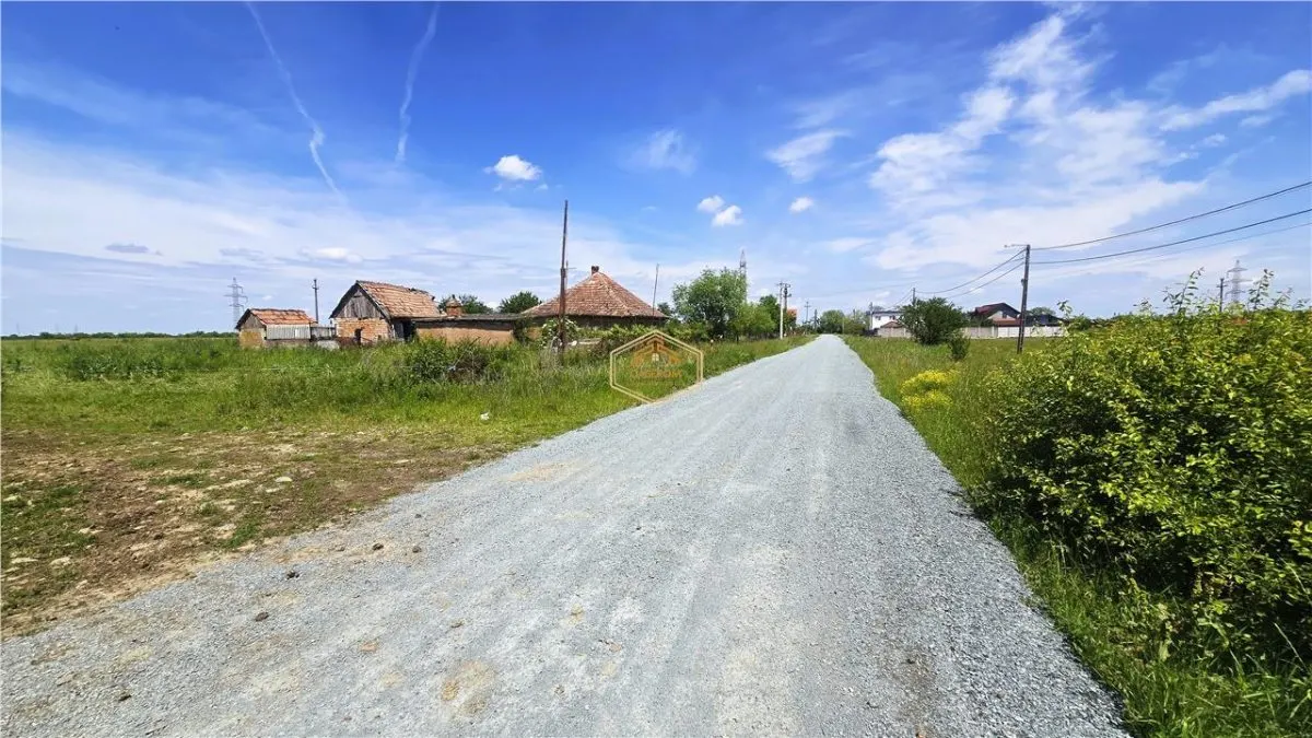 Teren generos si versatil - 10.850 mp | Balta Blonda | Diverse proiecte - foto 8