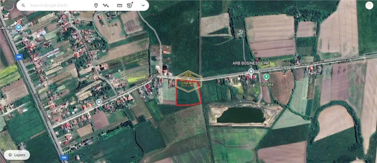 Teren generos si versatil - 10.850 mp | Balta Blonda | Diverse proiecte - foto 9